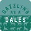Gubblecote Dazzling as a Dales Coaster